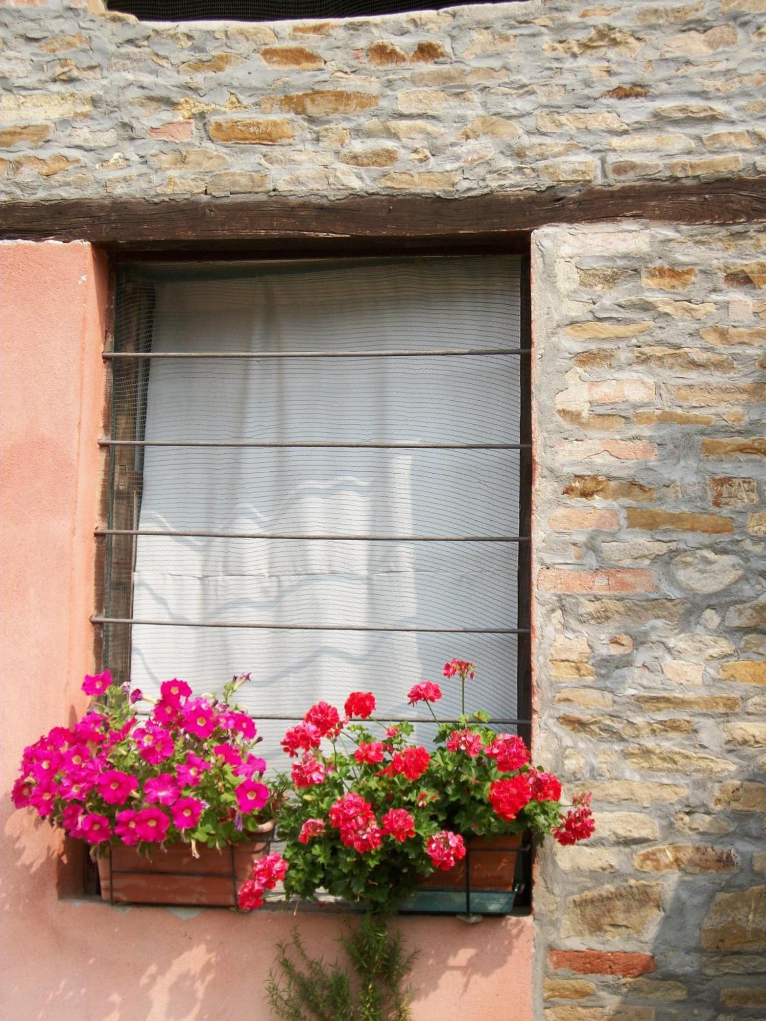 Agriturismo Ca Trinche Camo Екстер'єр фото