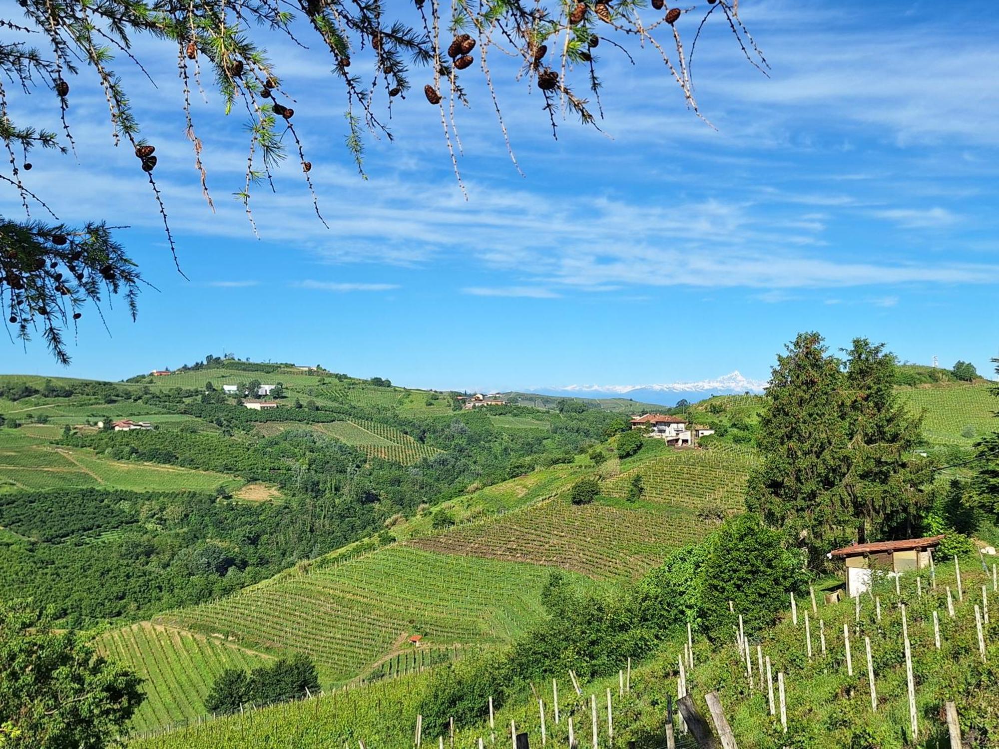 Agriturismo Ca Trinche Camo Екстер'єр фото