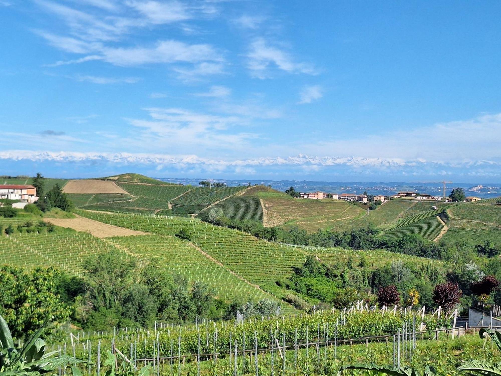 Agriturismo Ca Trinche Camo Екстер'єр фото