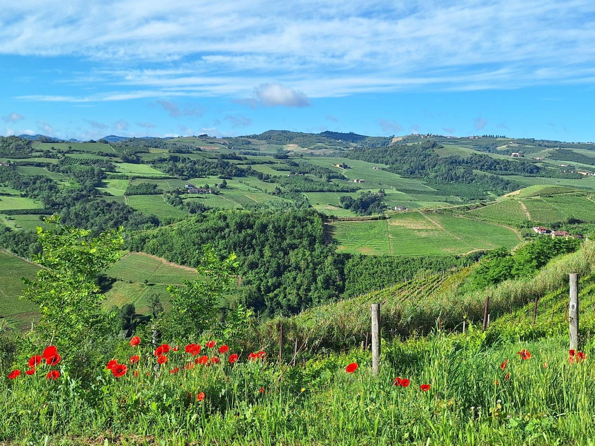 Agriturismo Ca Trinche Camo Екстер'єр фото